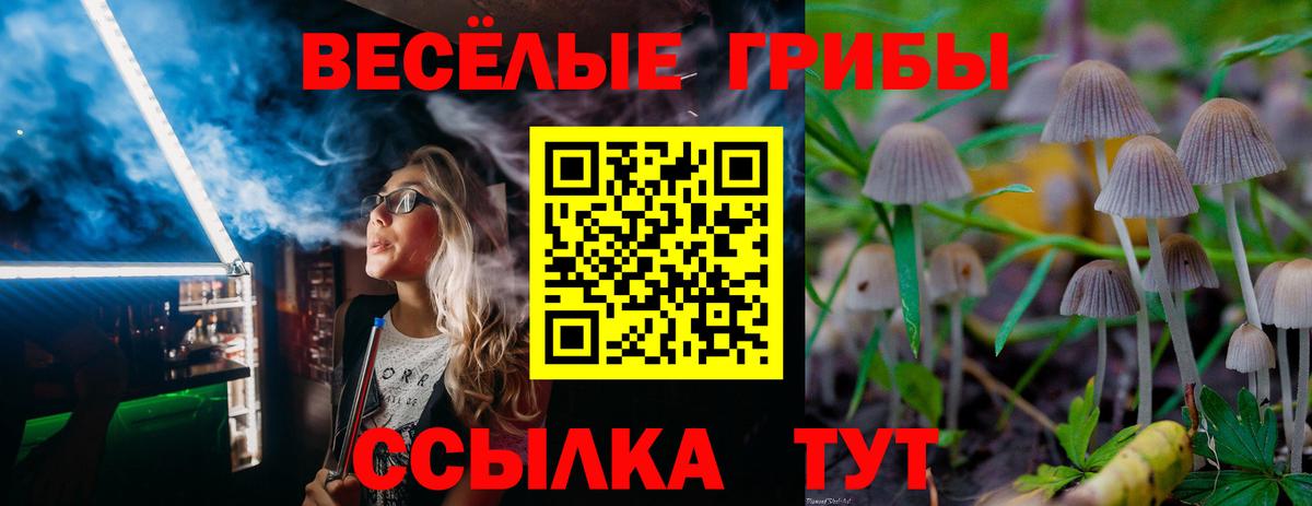 Галлюциногенные грибы прущие грибы Майский